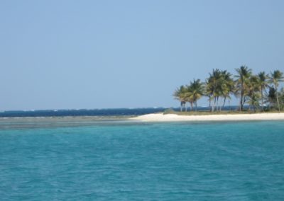 Rejs / Karaiby / 2008